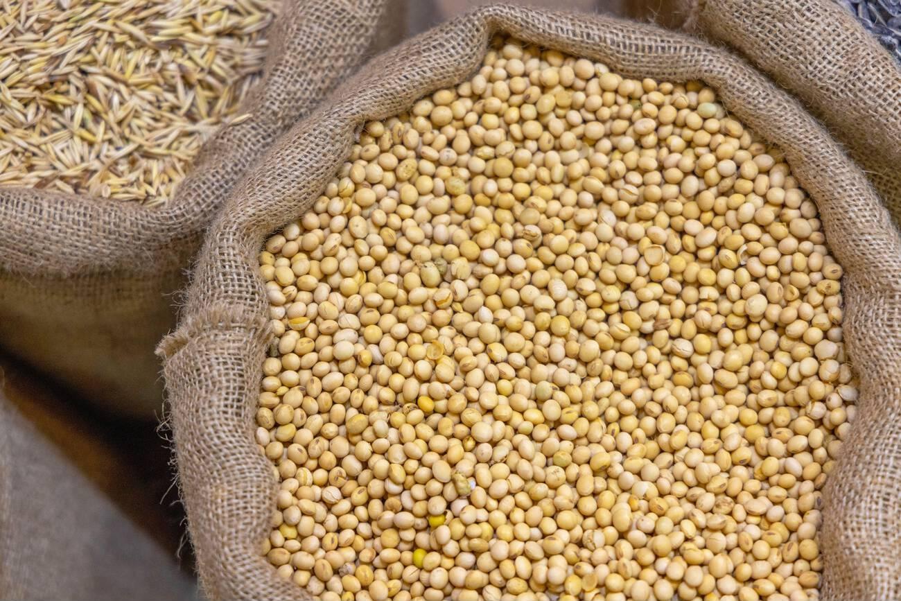 Soybeans