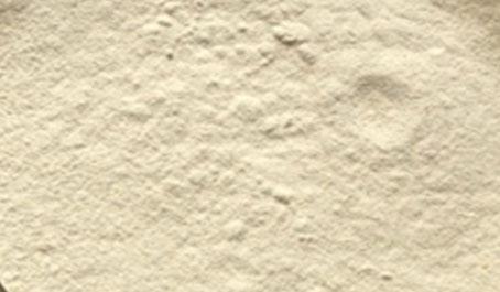 Tamarind kernel Powder