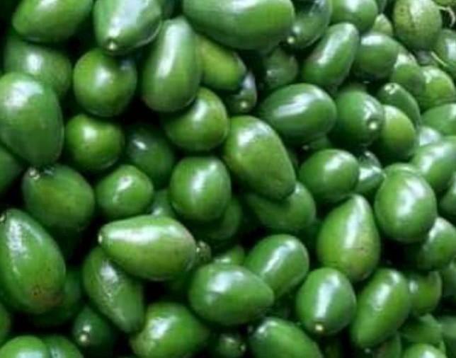 Avocado Manteiga (Butter)