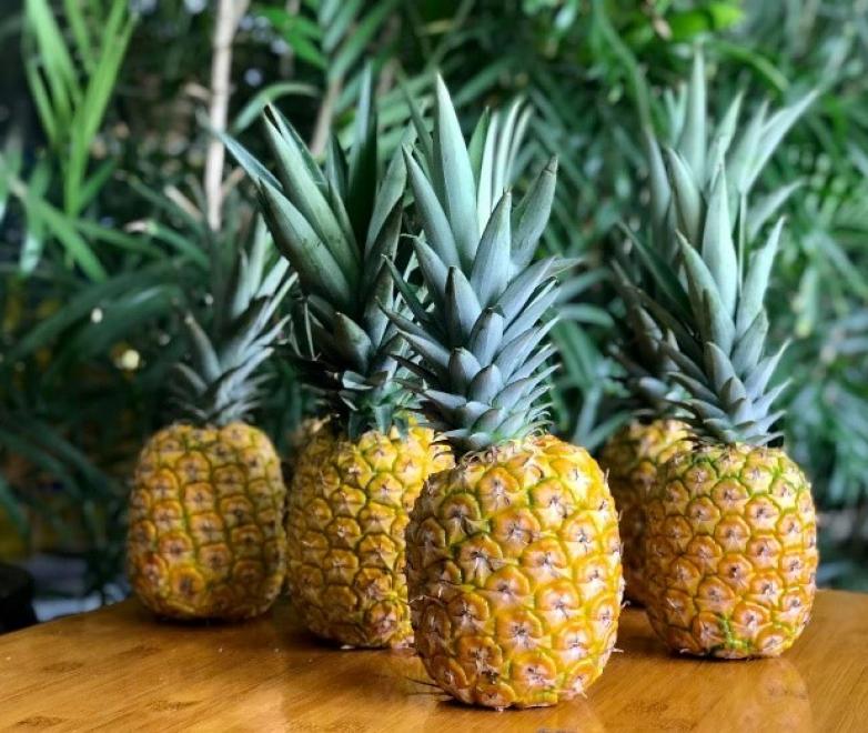 FRESH PINEAPLLE (MD2)