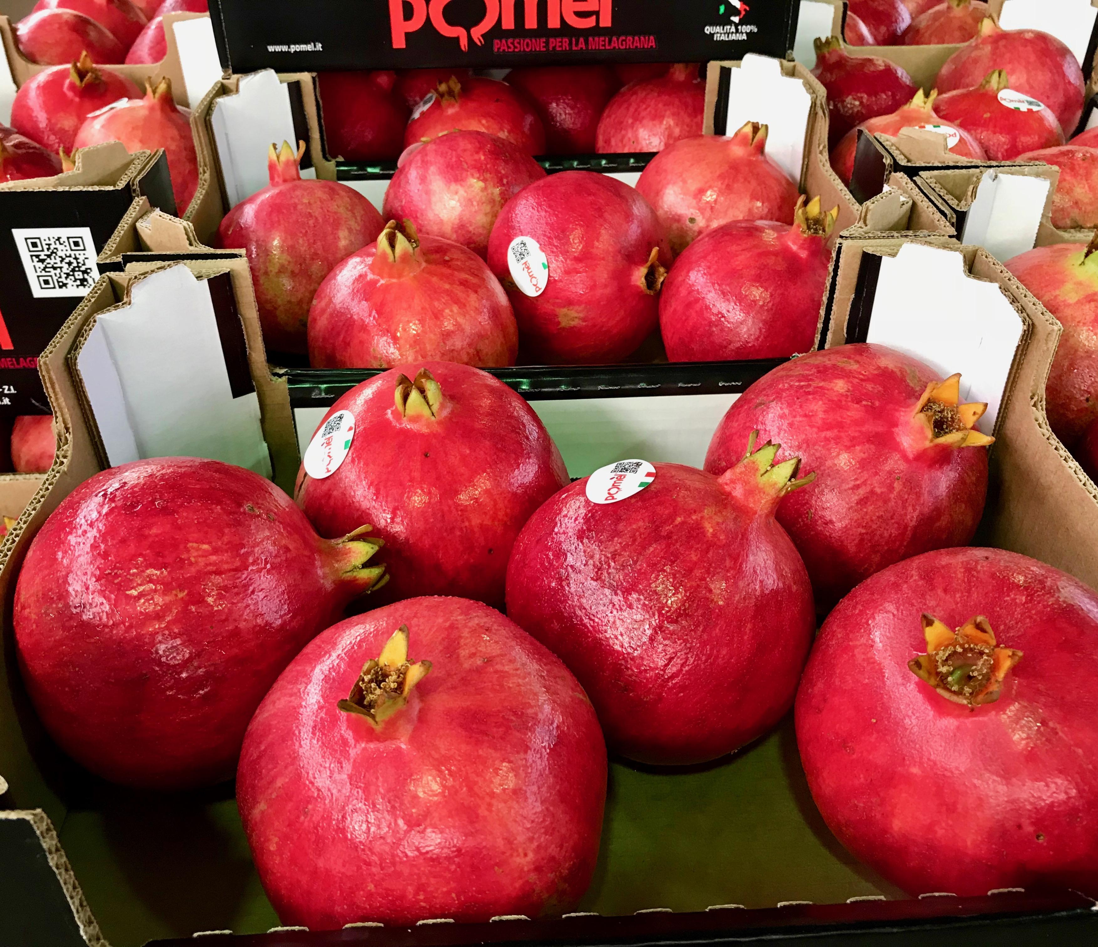 Top Quality Italian Pomegranate