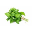 Fresh Basil
