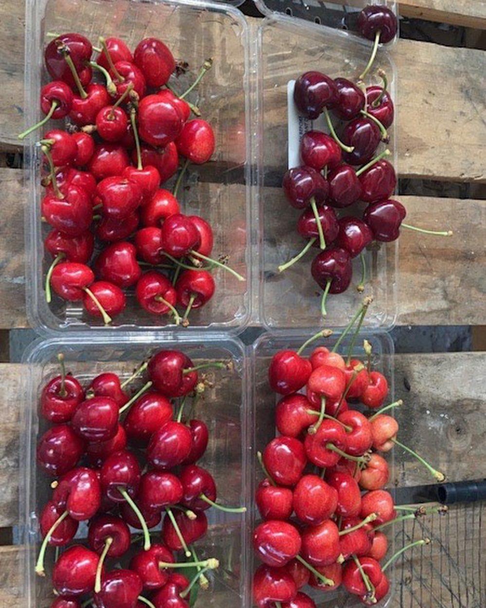 Cherries