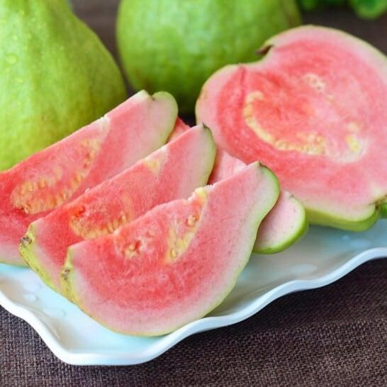 GUAVA