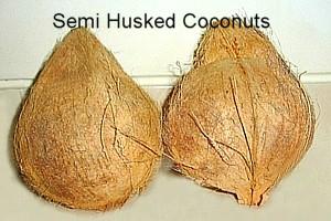 Coconut