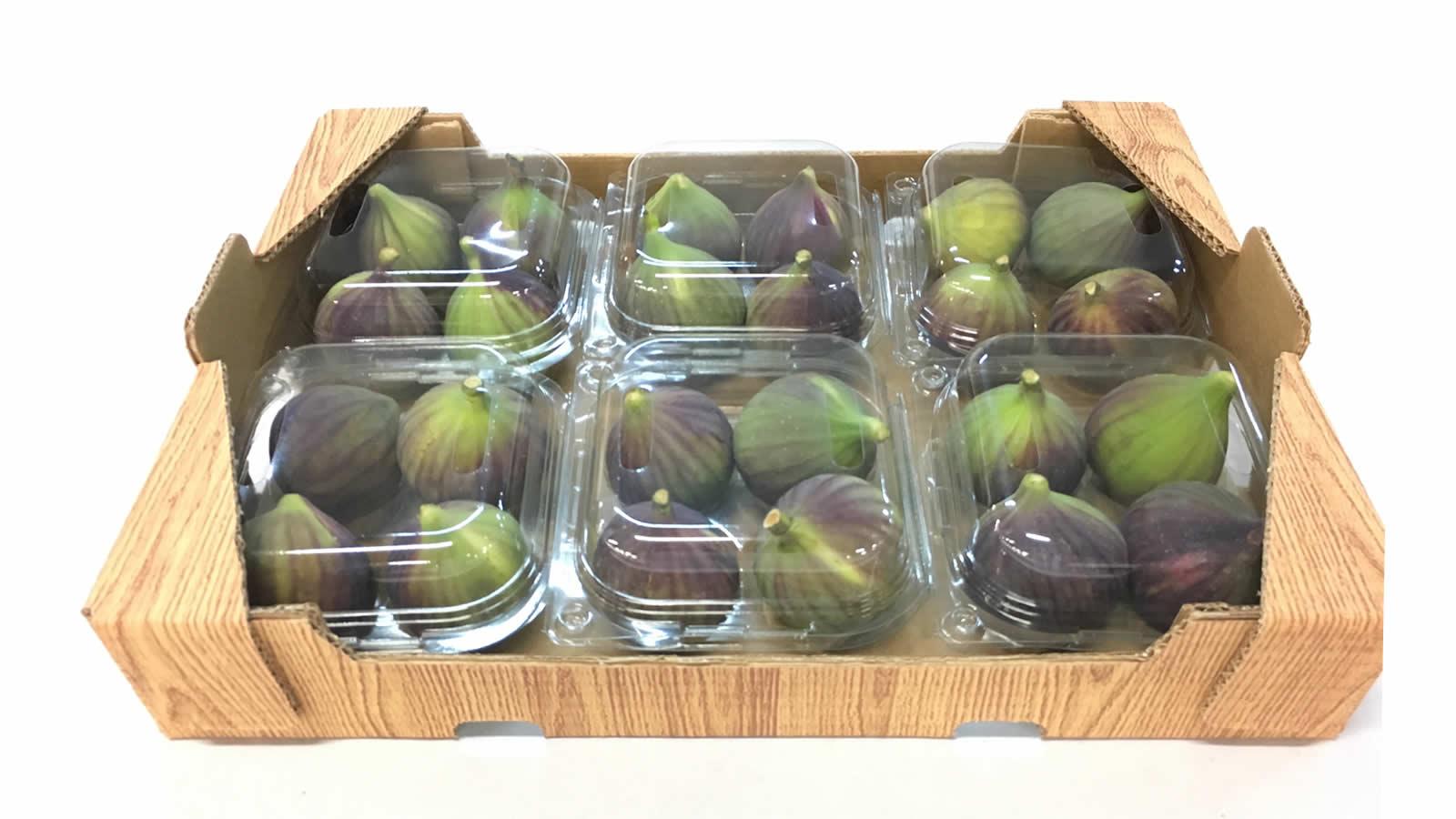 fresh black figs