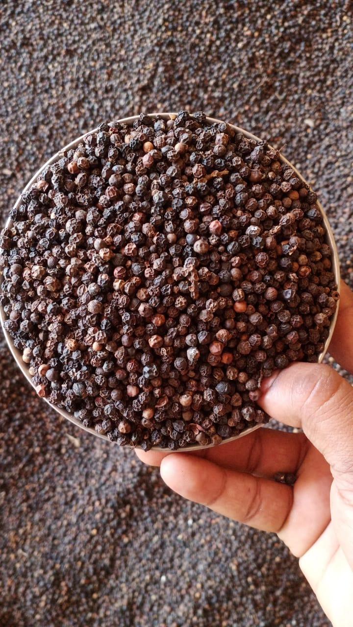 Black Pepper