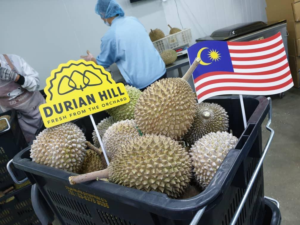 Frozen Durian Wholefruits