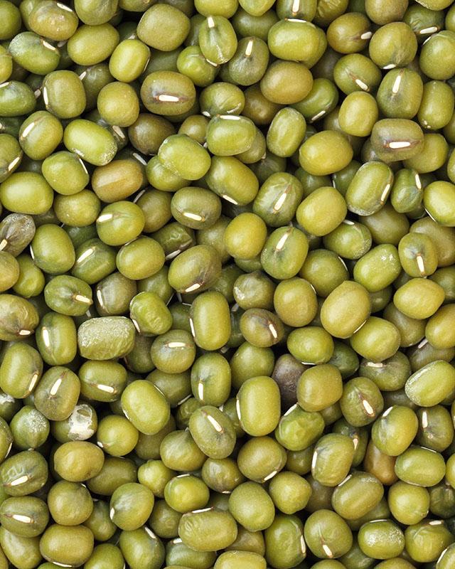 Green Mung Bean