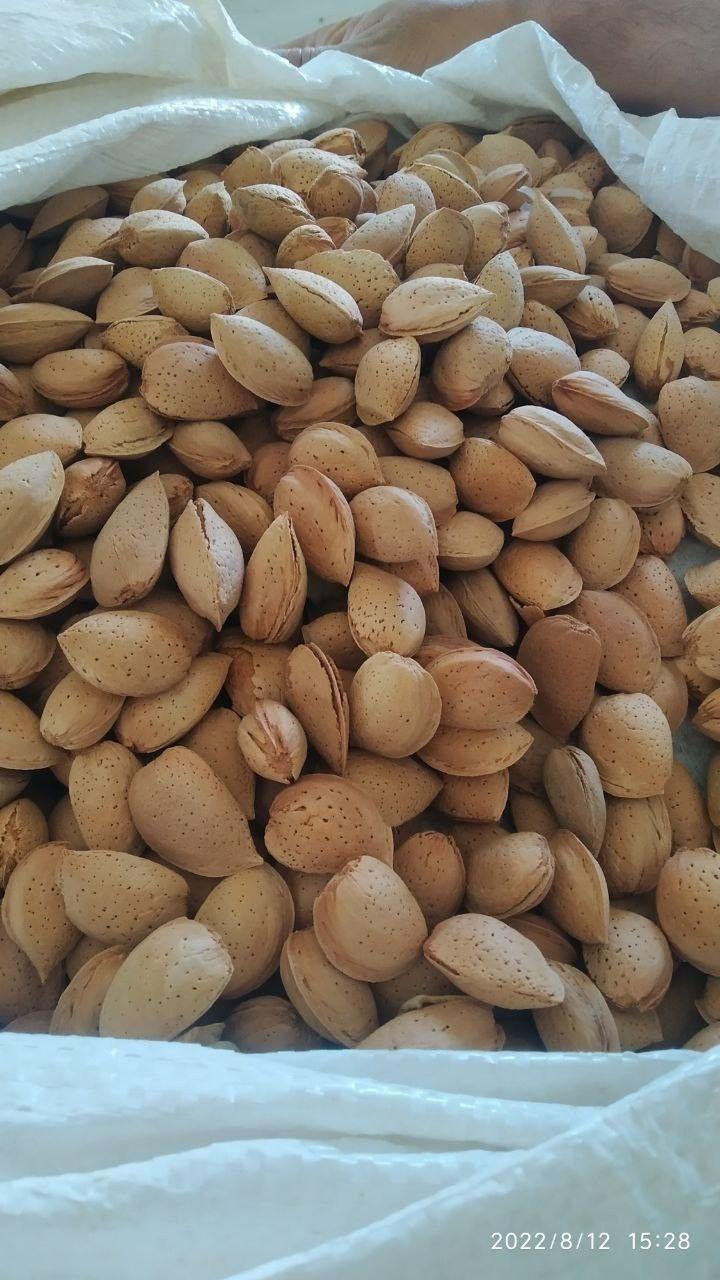 Almond