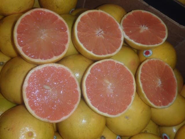 Fresh Grapefruit