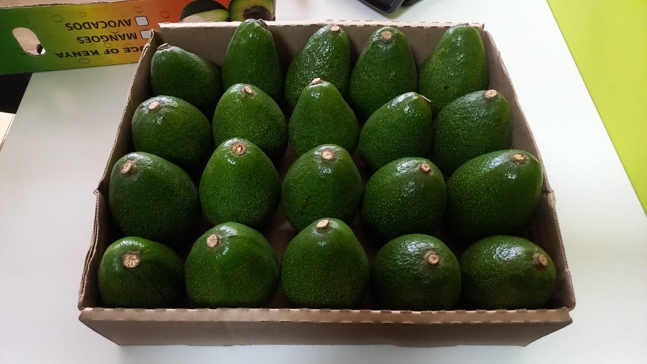 Kenyan Avocados.