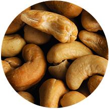 Cashew Nut