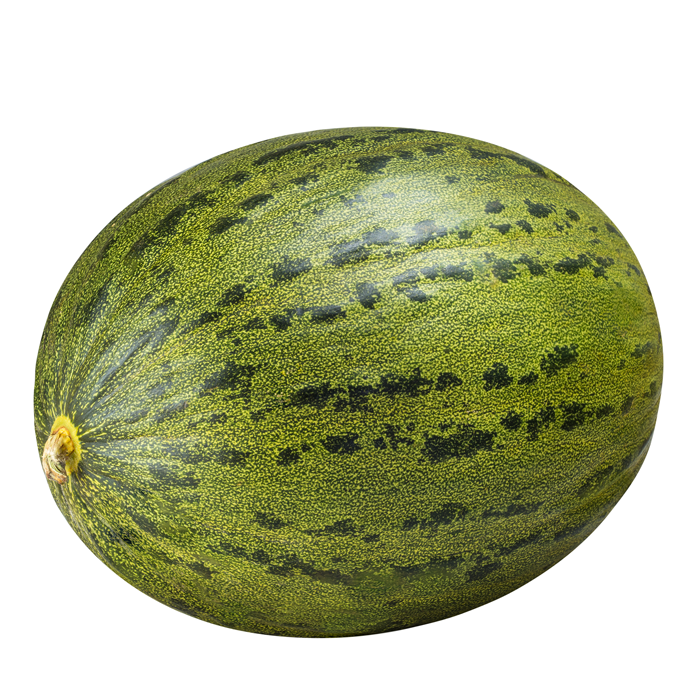 Melon