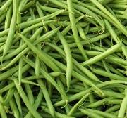 French bean