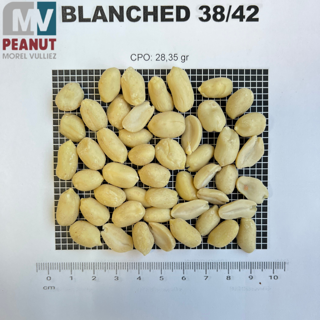 BLANCHED 38/42 40/50