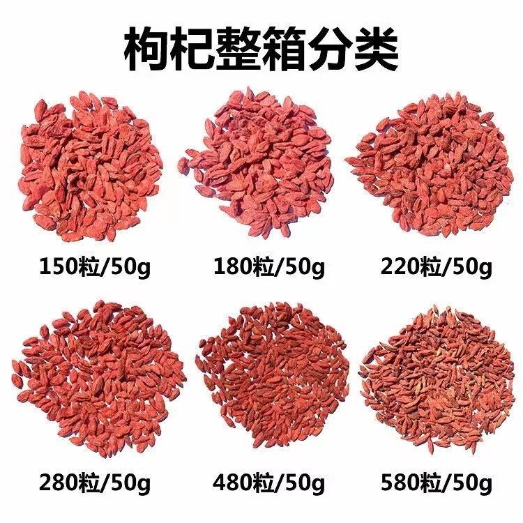 goji berry | wolfberry