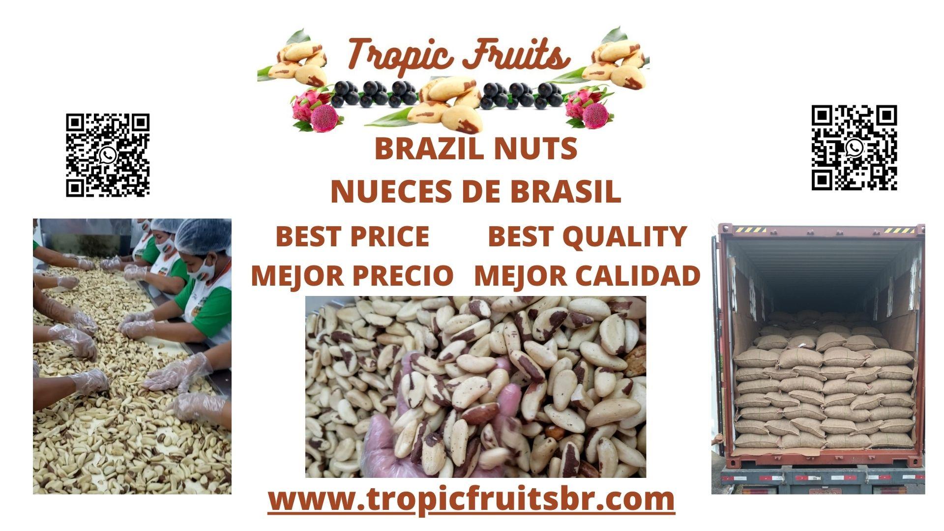 Brazil Nuts