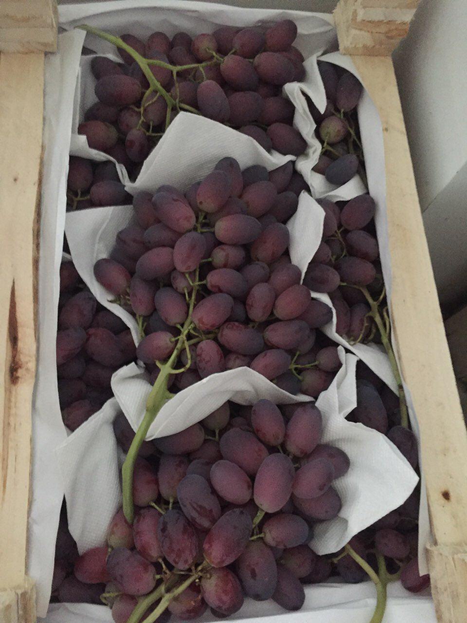 Grapes Rizamat