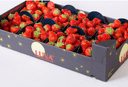 Fresh Strawberry