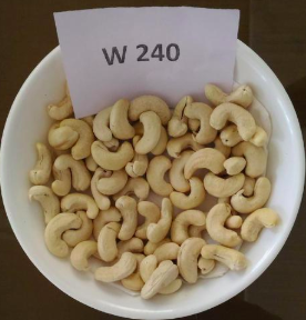 Cashew Nut