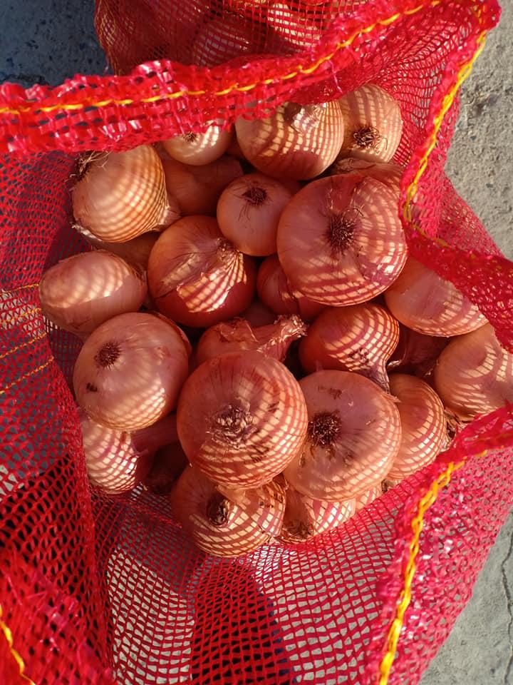 onion