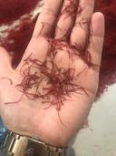 saffron