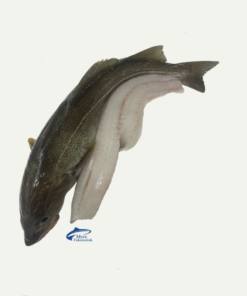 Cod