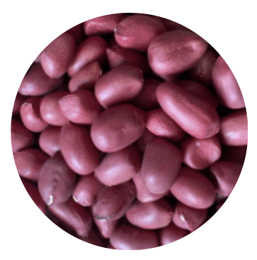 Vietnam Organic Roasted Cashew Kernels [Salted/Unsalted/with black Pepper/with Chilli/with wasabi..]