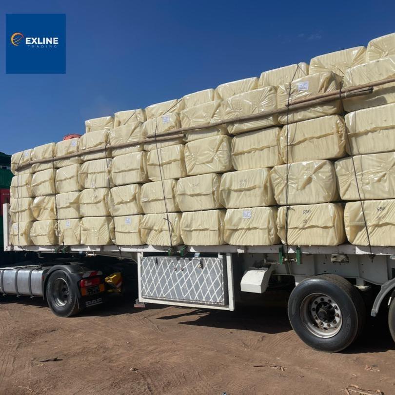 High-quality white Sesame Seeds: