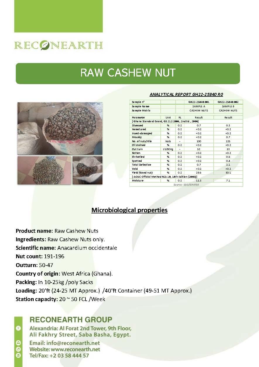 Raw Cashew Nuts