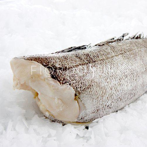 Chilean Seabass