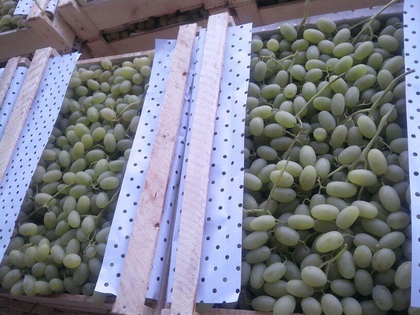 Grapes Husayni