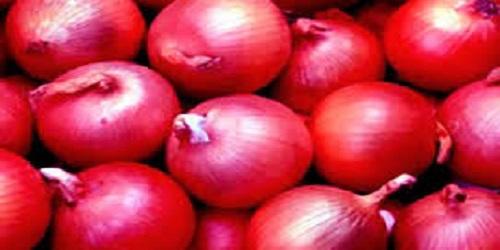 FRESH CROP RED ONION