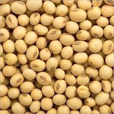 Soy beans