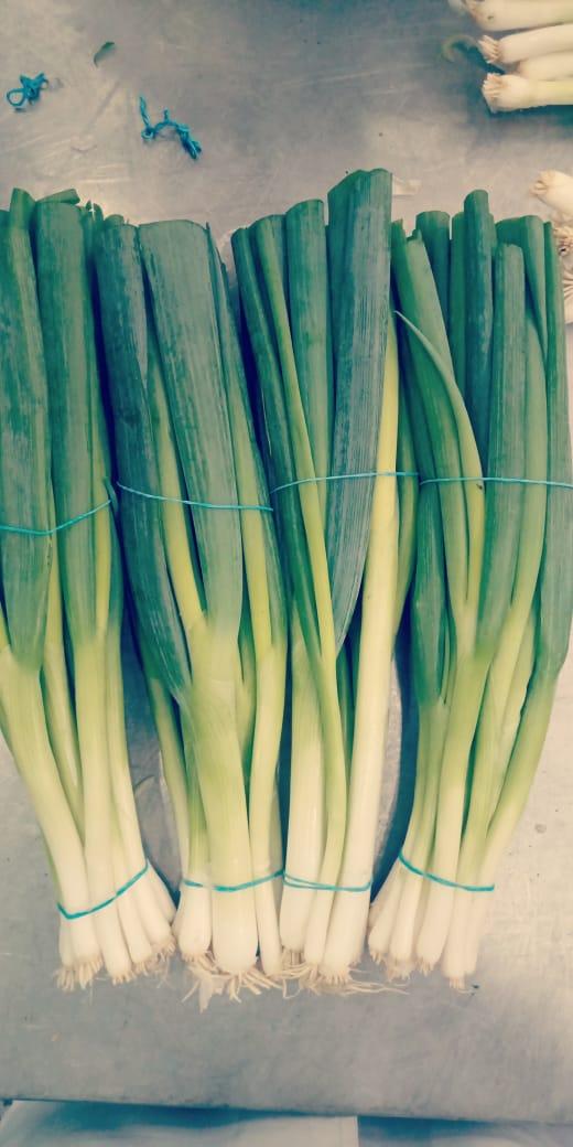 Spring onions