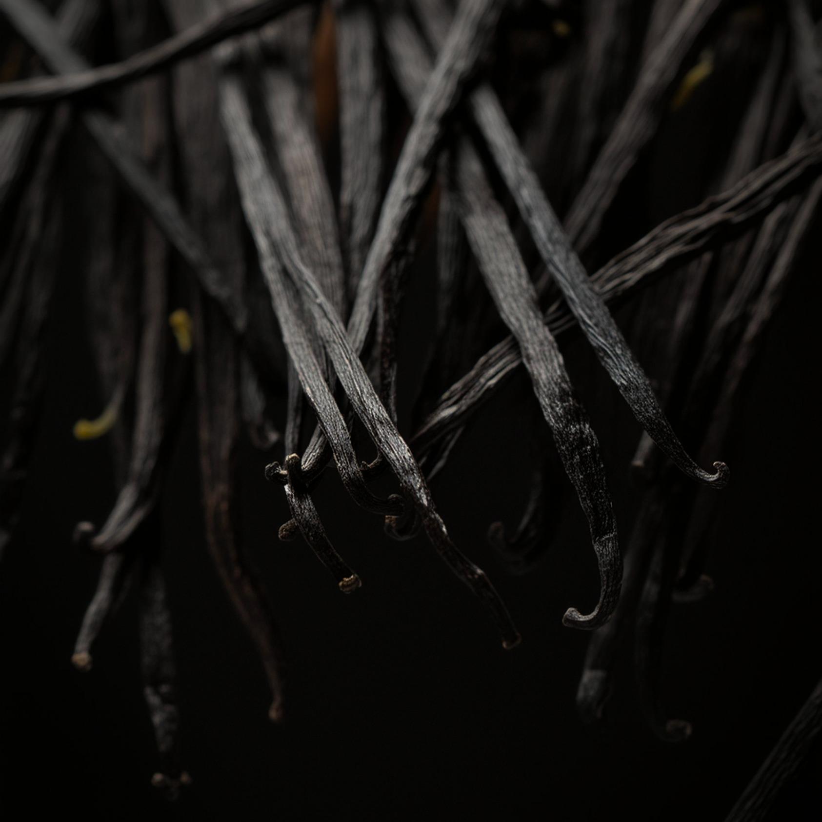 Vanilla Beans / Vanilla Pods · Indonesia