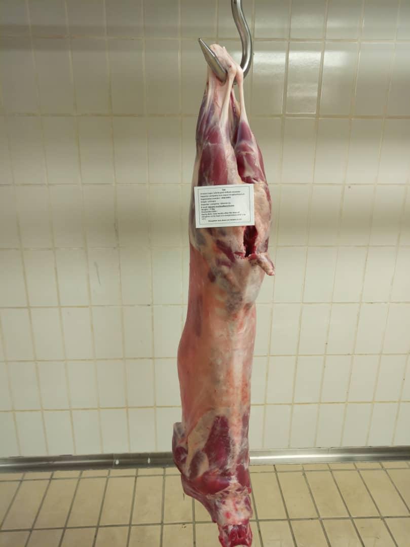 Fresh chilled goat carcass