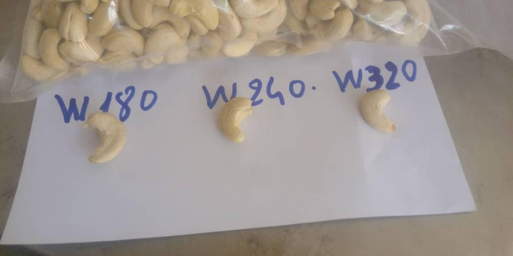 Kernel Cashew Nut