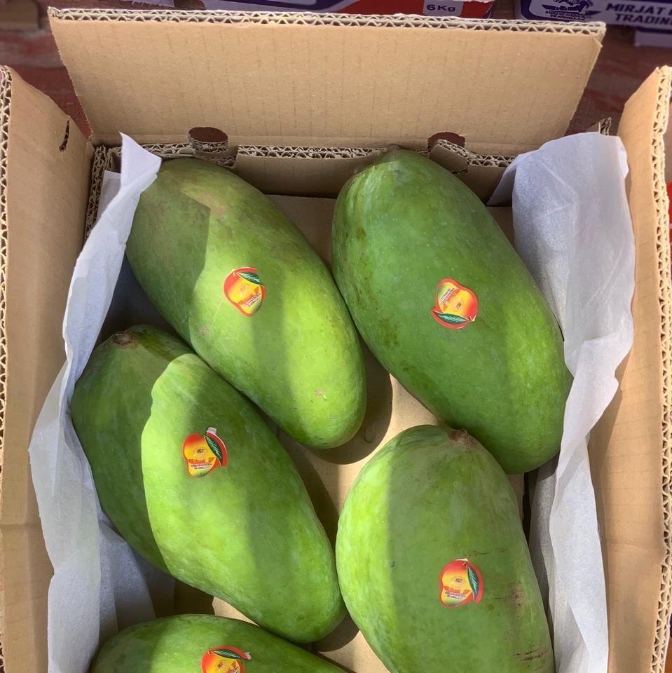 Sindhri Mango
