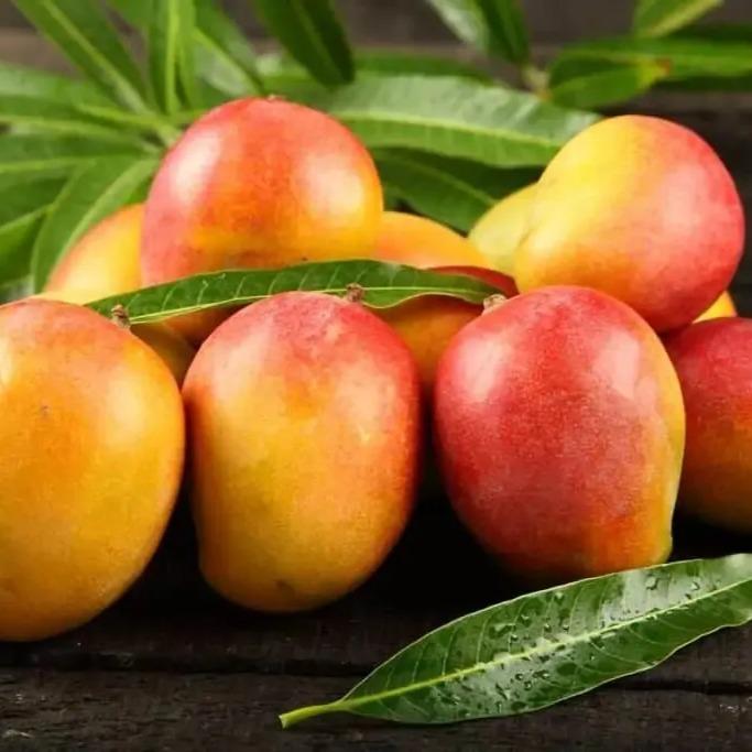 Fresh Baby Sugar Mango