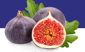 Bursa Black Fig