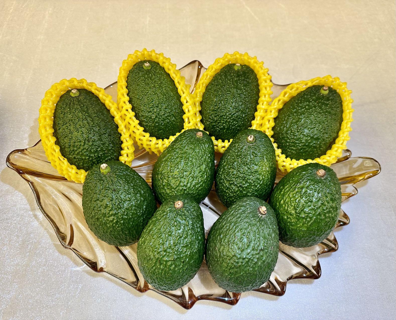 Chinese fresh avocados