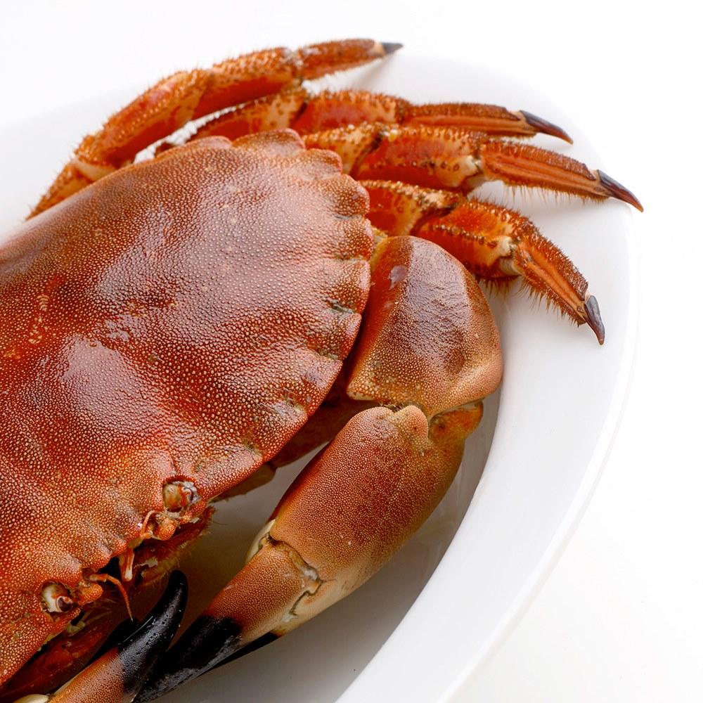 Whole Cooked Brown Crab