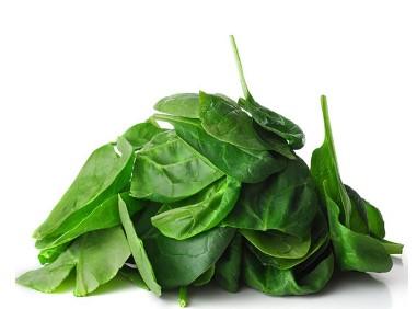 Fresh Spinach