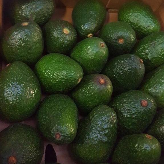 Fresh Avocado
