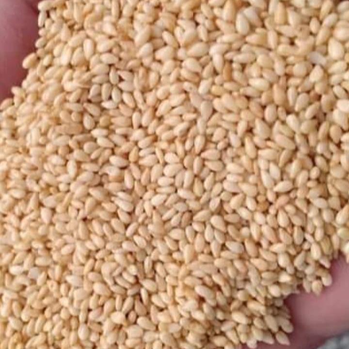 Sesame Seeds - All Categories Available