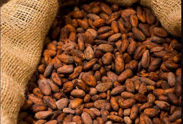 Cocoa