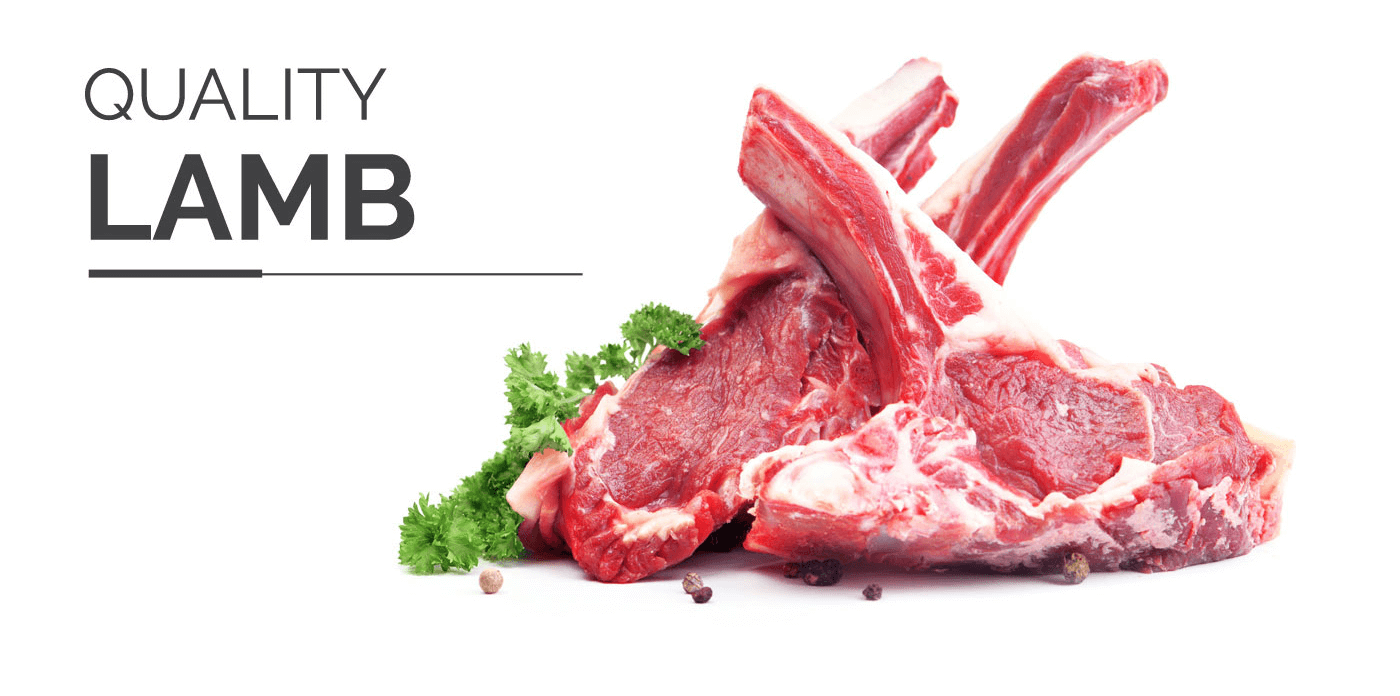 Lamb