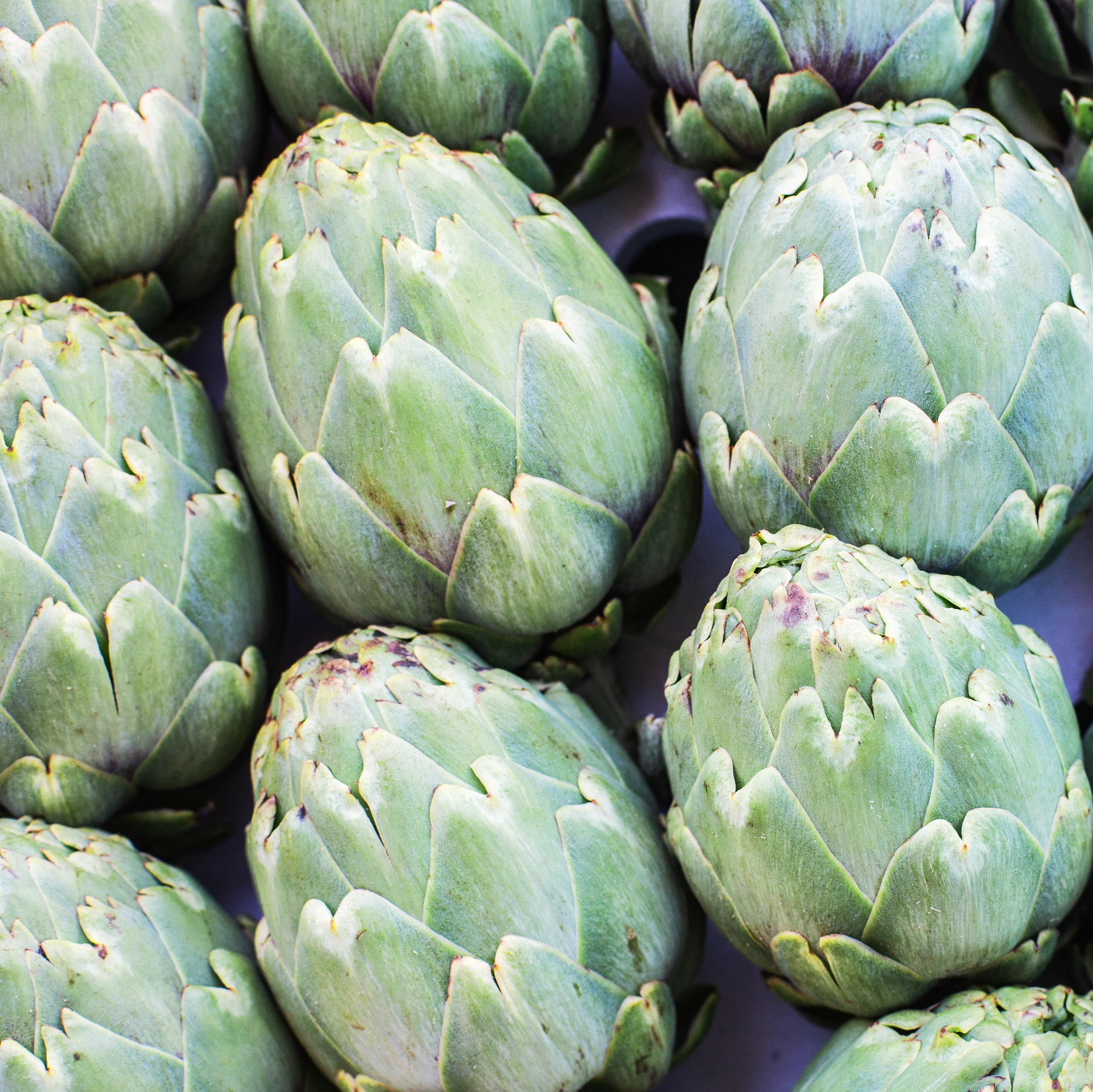 Fresh Artichoke - Egypt